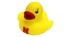 Nebraska Husker Rubber Ducky - NV-B6023