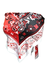 Womens Nebraska Paisley Bandana Tie Back Nebraska Cornhuskers, Nebraska  Ladies Tops, Huskers  Ladies Tops, Nebraska Womens Colorblock Bandana Tie Back Top Zoozatz, Huskers Womens Colorblock Bandana Tie Back Top Zoozatz